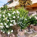 Annette Bed & Breakfast 3*