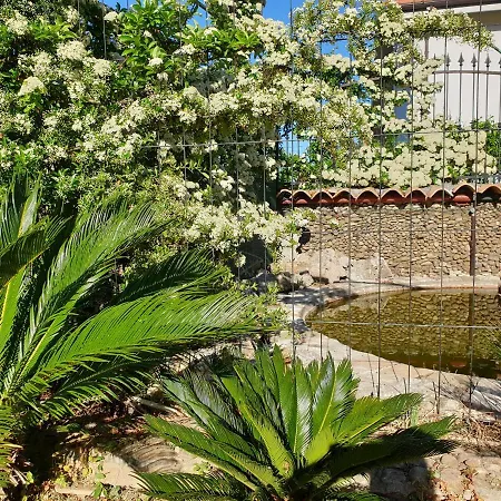 Annette 3* Васто