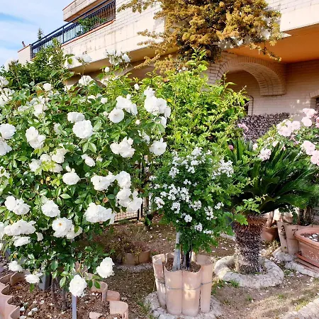 Annette Bed & Breakfast *